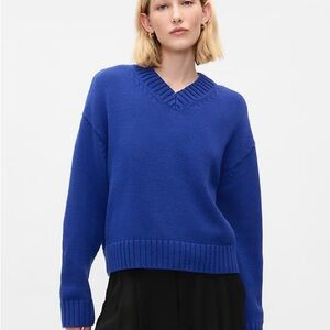 GAP Royal Blue V-Neck Sweater